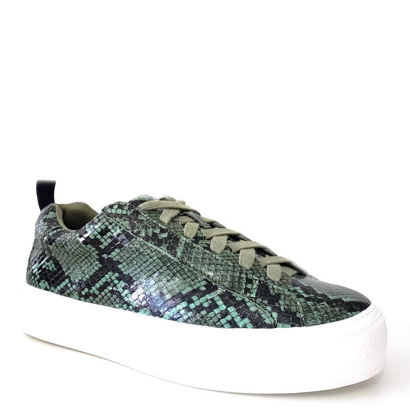 Shoe Republic Faux Snake Skin Upper Lace Up Sneakers - Soto